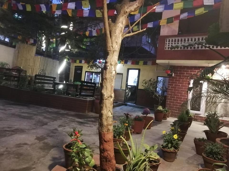 Nirvana Green Peace Home Kathmandu Ngoại thất bức ảnh