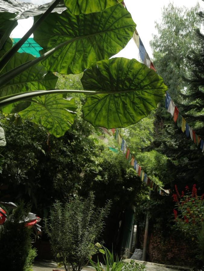 Nirvana Green Peace Home Kathmandu Ngoại thất bức ảnh
