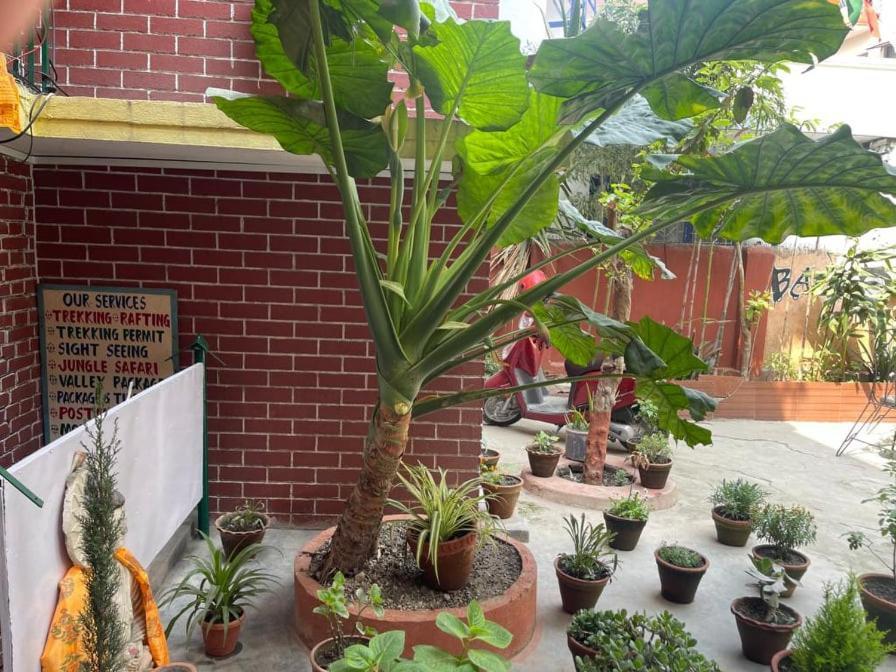 Nirvana Green Peace Home Kathmandu Ngoại thất bức ảnh