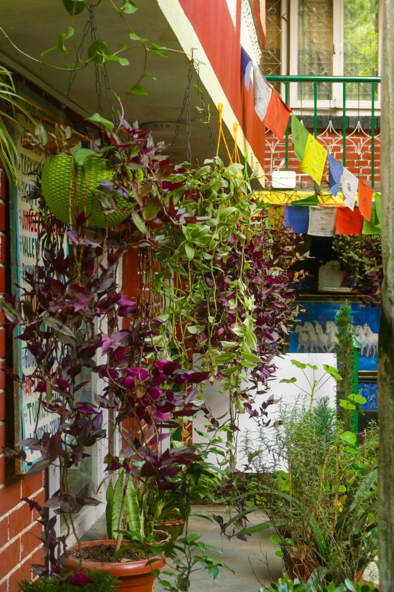 Nirvana Green Peace Home Kathmandu Ngoại thất bức ảnh