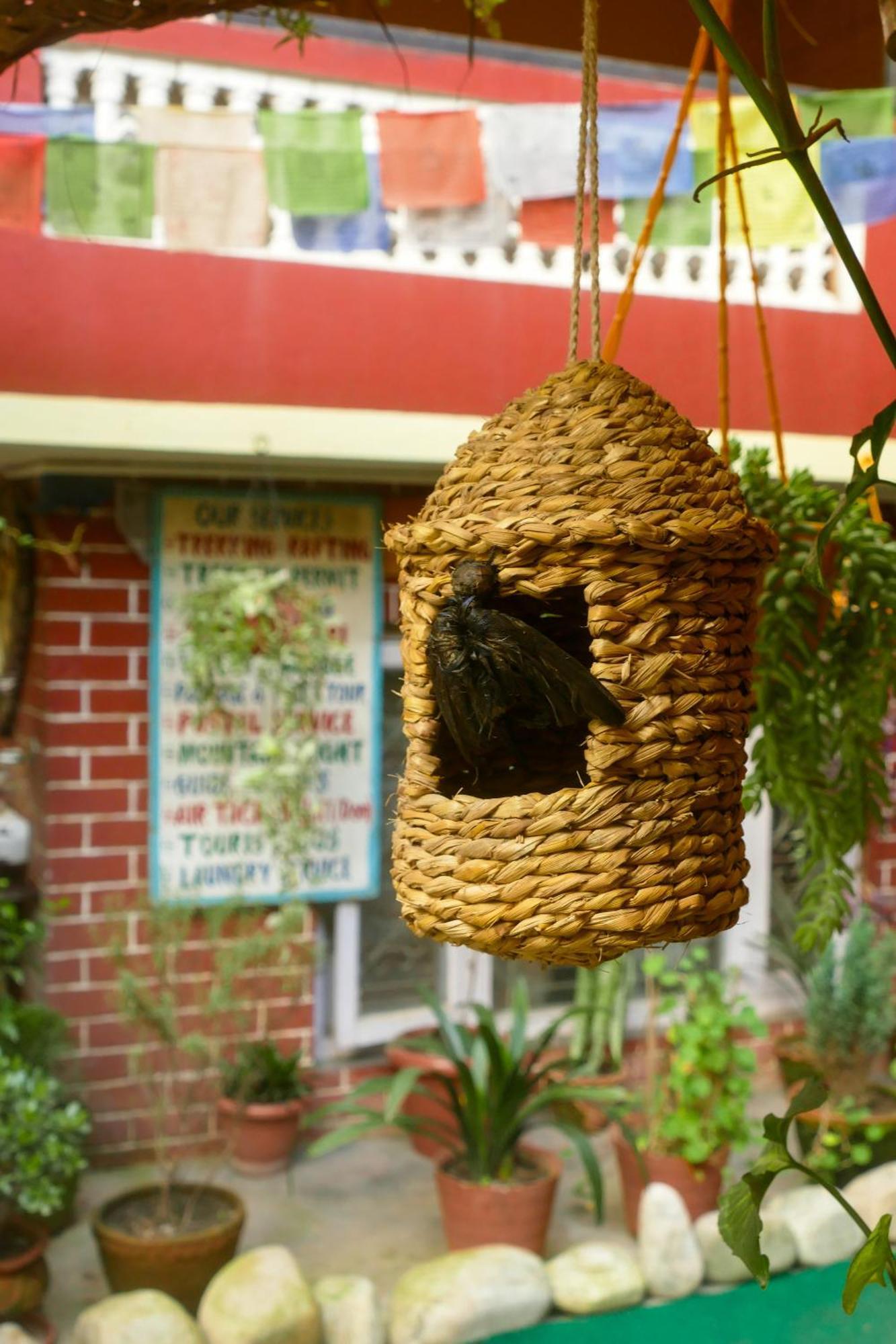 Nirvana Green Peace Home Kathmandu Ngoại thất bức ảnh